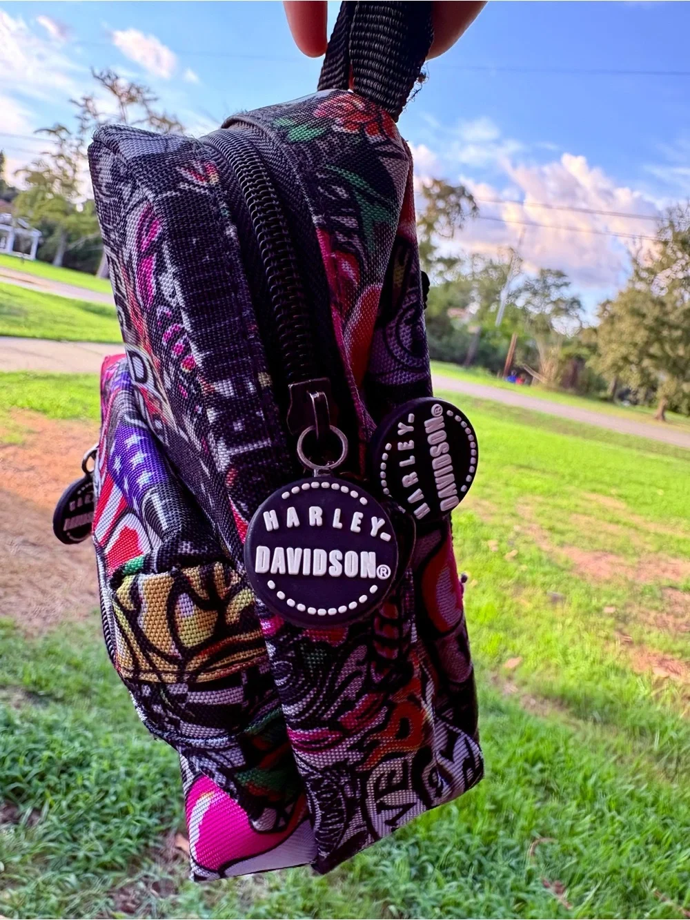 Harley-Davidson Black and Red Graphic Mini Backpack